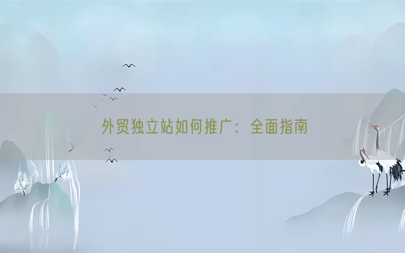 外贸独立站如何推广：全面指南