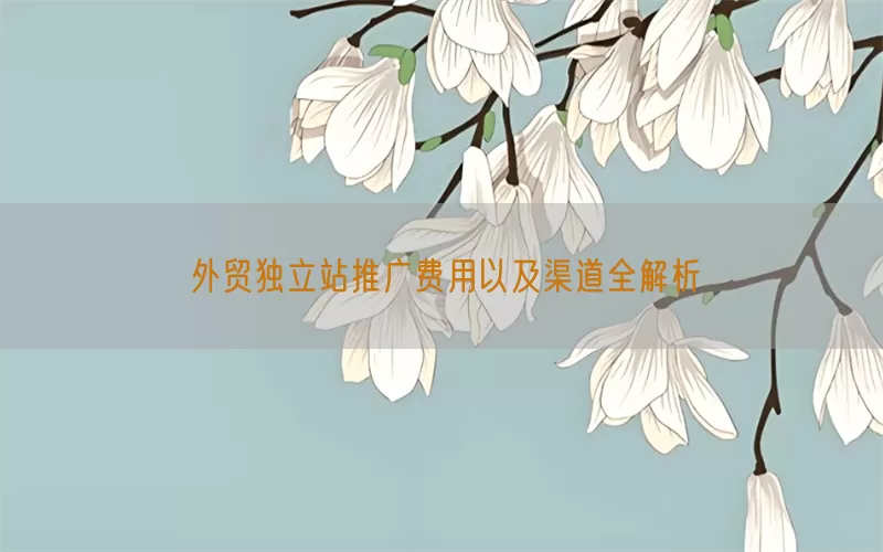 外贸独立站推广费用以及渠道全解析