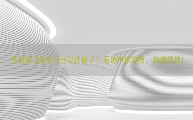 外贸独立站的已经没法做了？看清市场趋势，快速转型！