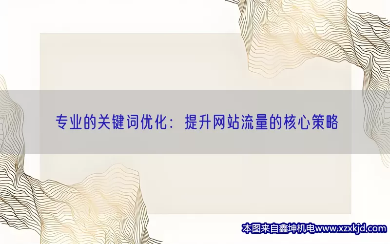 专业的关键词优化：提升网站流量的核心策略(pic1)