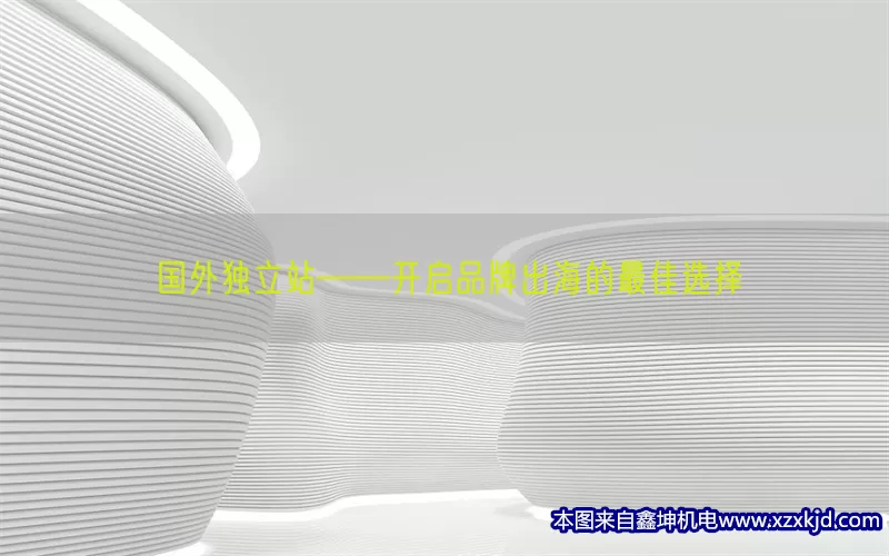 国外独立站——开启品牌出海的最佳选择(pic1)