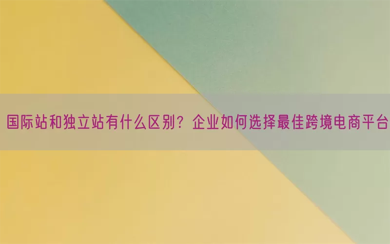国际站和独立站有什么区别？企业如何选择最佳跨境电商平台