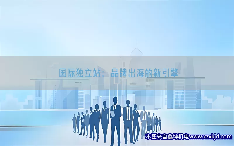 国际独立站：品牌出海的新引擎(pic1)