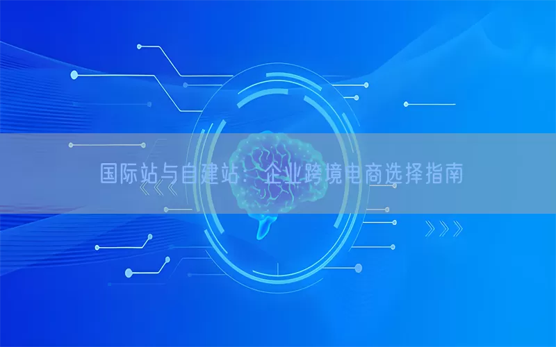 国际站与自建站：企业跨境电商选择指南