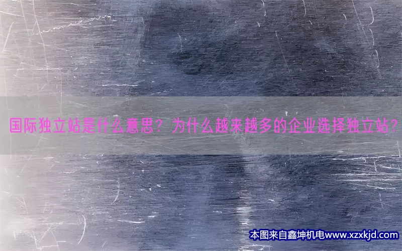国际独立站是什么意思？为什么越来越多的企业选择独立站？(pic1)
