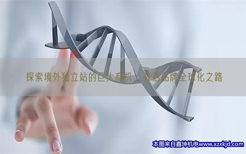 探索境外独立站的巨大商机，开启品牌全球化之路(pic1)