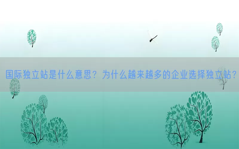 国际独立站是什么意思？为什么越来越多的企业选择独立站？