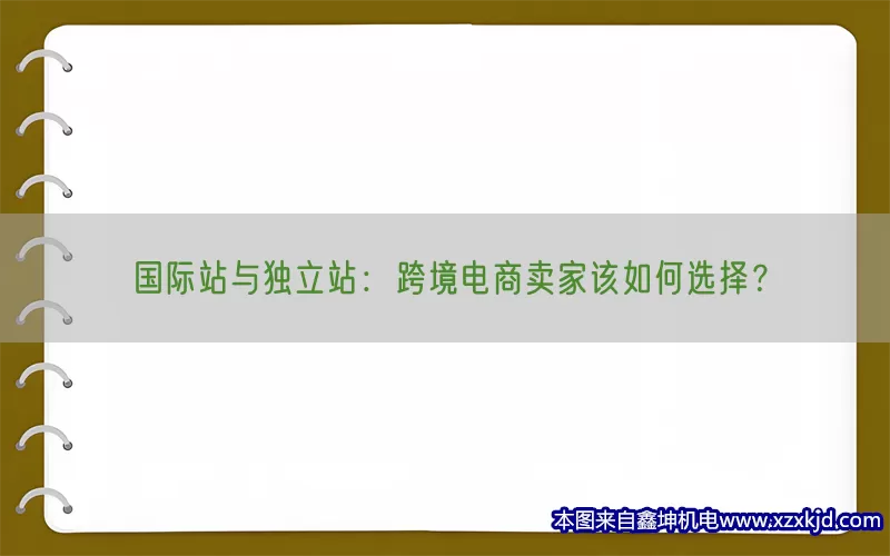 国际站与独立站：跨境电商卖家该如何选择？(pic1)