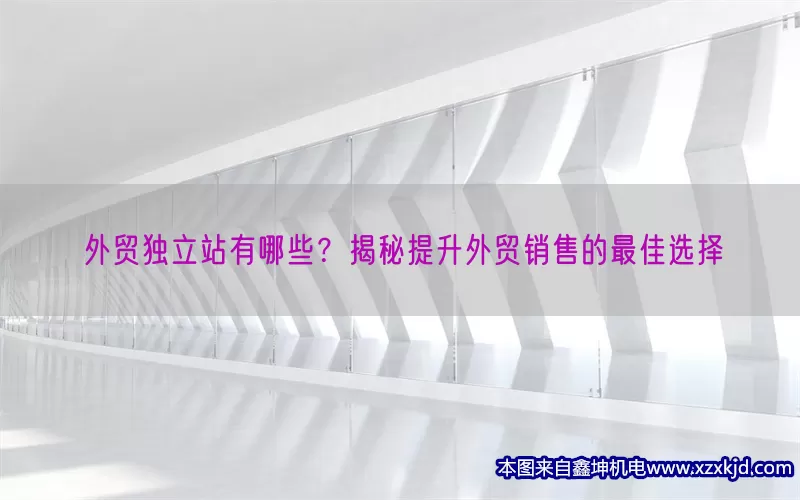 外贸独立站有哪些？揭秘提升外贸销售的最佳选择(pic1)