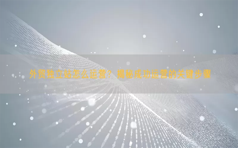 外贸独立站怎么运营？揭秘成功运营的关键步骤