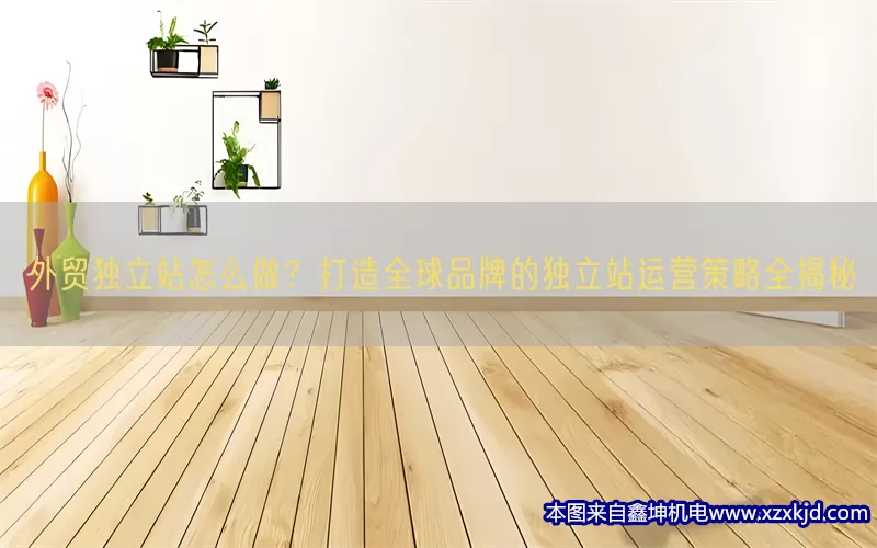 外贸独立站怎么做？打造全球品牌的独立站运营策略全揭秘(pic1)