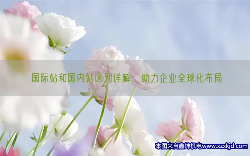国际站和国内站区别详解：助力企业全球化布局(pic1)