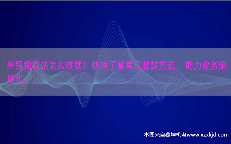 外贸独立站怎么收款？快速了解常见收款方式，助力业务全球化(pic1)