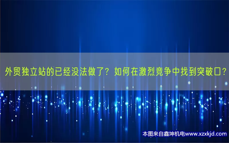 外贸独立站的已经没法做了？如何在激烈竞争中找到突破口？(pic1)