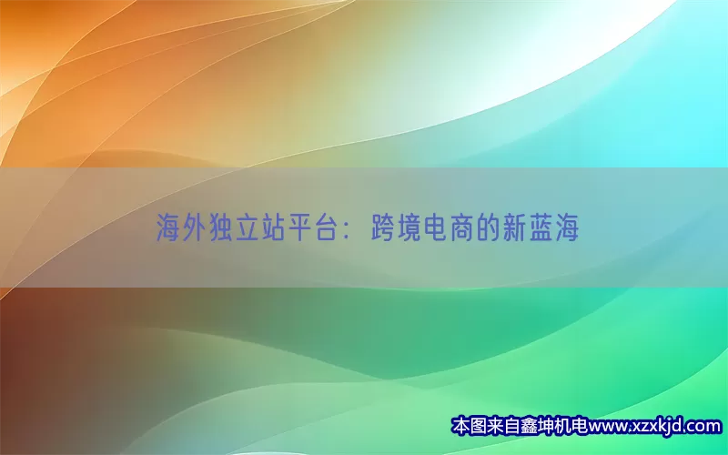 海外独立站平台：跨境电商的新蓝海(pic1)