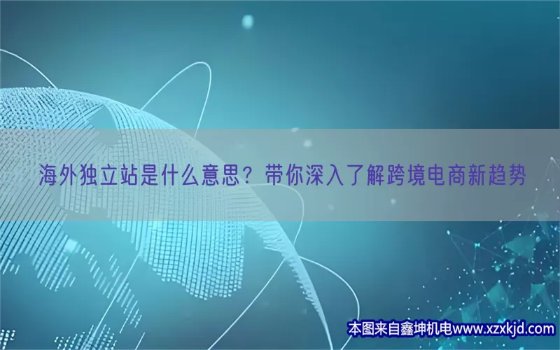 海外独立站是什么意思？带你深入了解跨境电商新趋势(pic1)