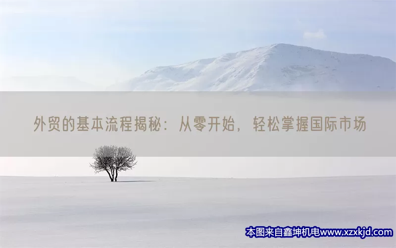 外贸的基本流程揭秘：从零开始，轻松掌握国际市场(pic1)