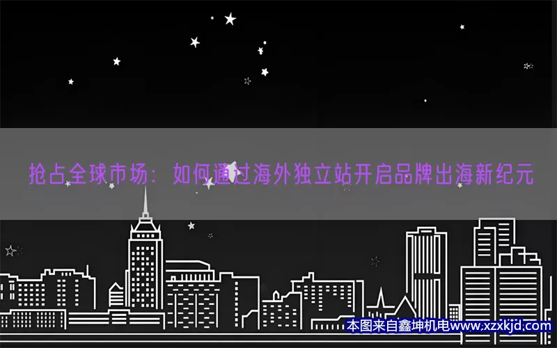抢占全球市场：如何通过海外独立站开启品牌出海新纪元(pic1)
