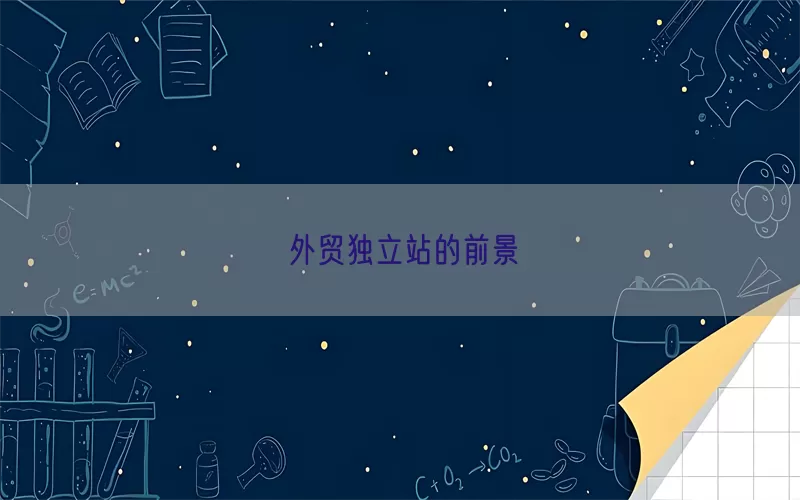 外贸独立站的前景