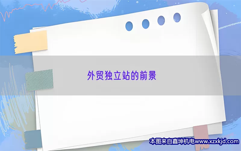 外贸独立站的前景(pic1)