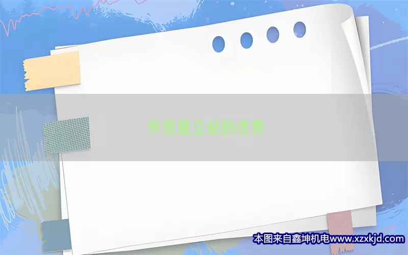 外贸独立站的优势(pic1)
