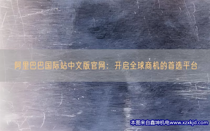 阿里巴巴国际站中文版官网：开启全球商机的首选平台(pic1)