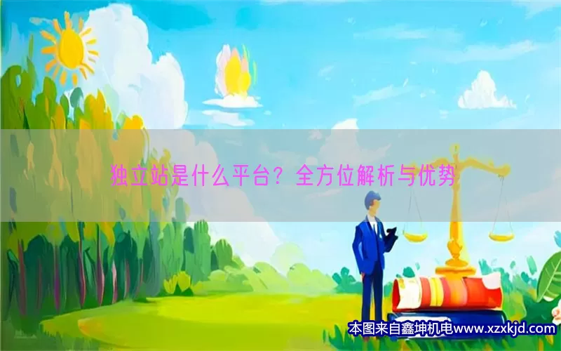 独立站是什么平台？全方位解析与优势(pic1)
