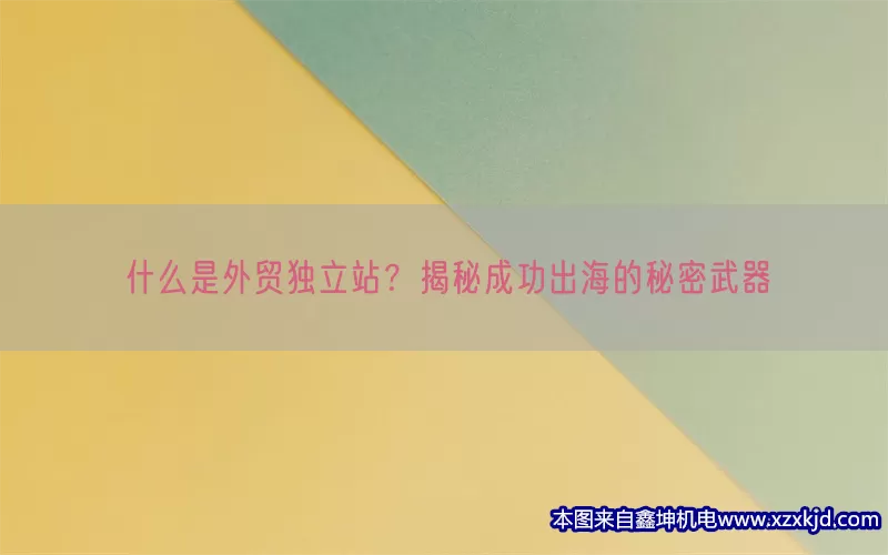 什么是外贸独立站？揭秘成功出海的秘密武器(pic1)