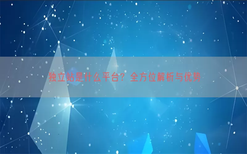 独立站是什么平台？全方位解析与优势