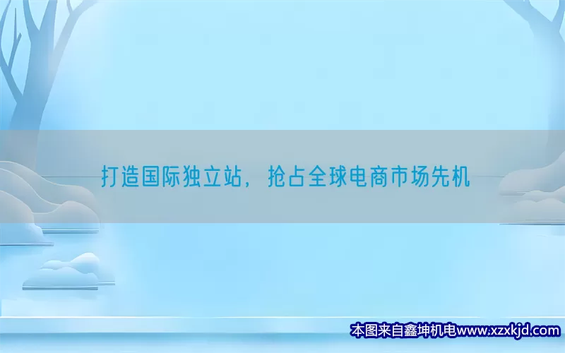 打造国际独立站，抢占全球电商市场先机(pic1)