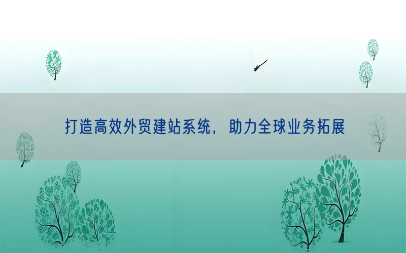 打造高效外贸建站系统，助力全球业务拓展