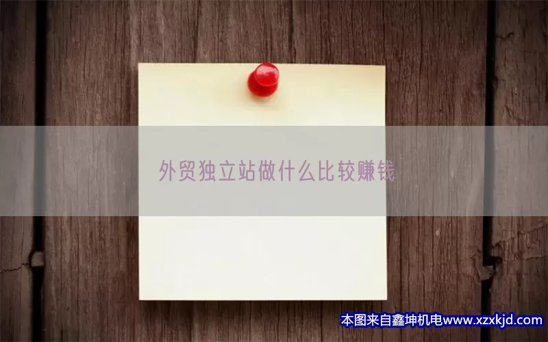 外贸独立站做什么比较赚钱(pic1)