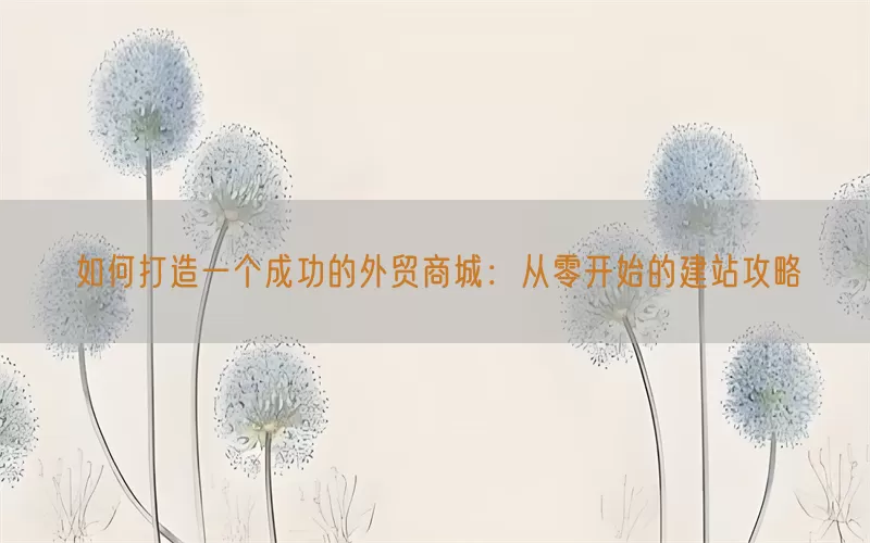 如何打造一个成功的外贸商城：从零开始的建站攻略