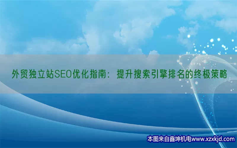 外贸独立站SEO优化指南：提升搜索引擎排名的终极策略(pic1)