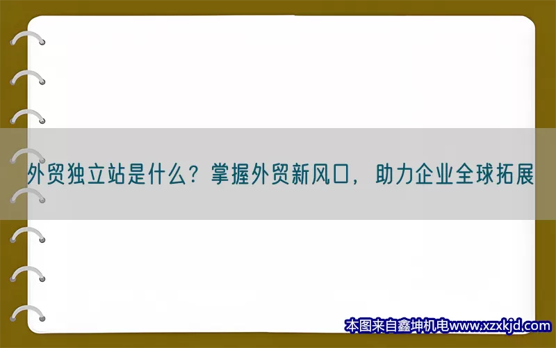 外贸独立站是什么？掌握外贸新风口，助力企业全球拓展(pic1)