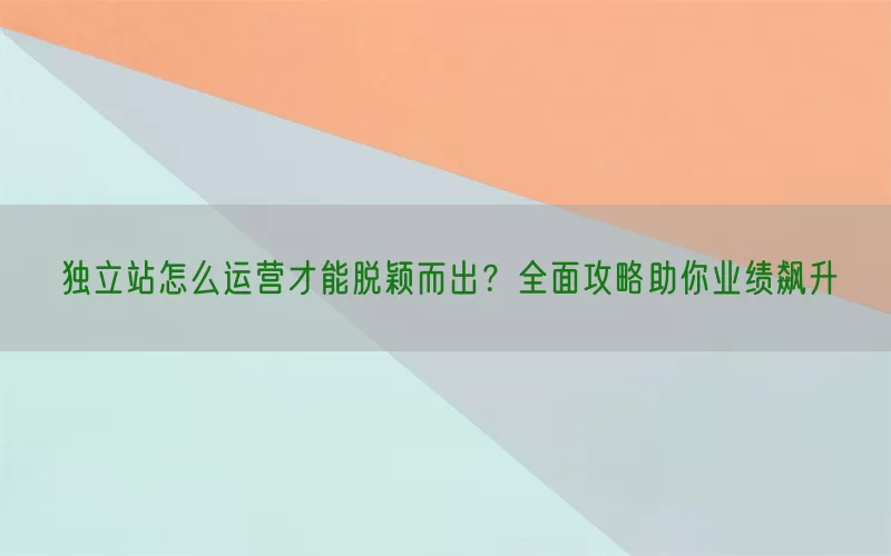 独立站怎么运营才能脱颖而出？全面攻略助你业绩飙升
