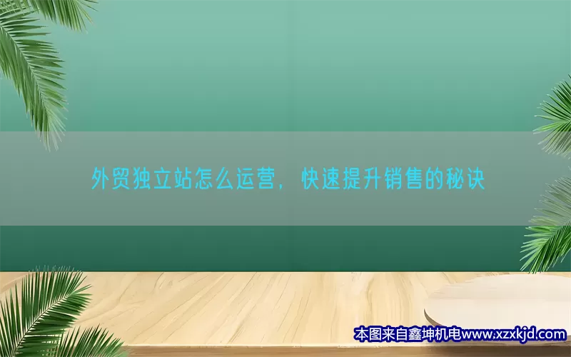 外贸独立站怎么运营，快速提升销售的秘诀(pic1)