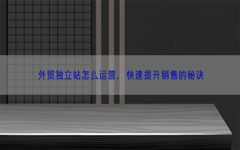 外贸独立站怎么运营，快速提升销售的秘诀