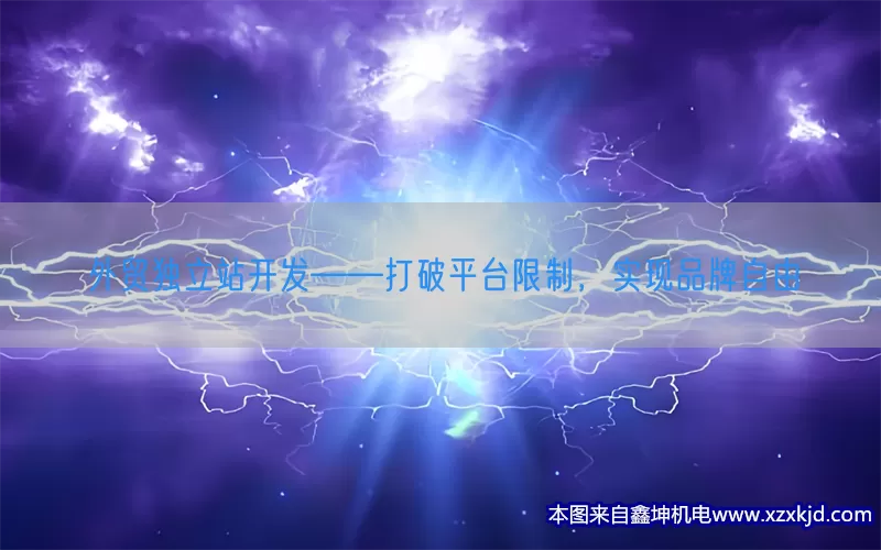 外贸独立站开发——打破平台限制，实现品牌自由(pic1)