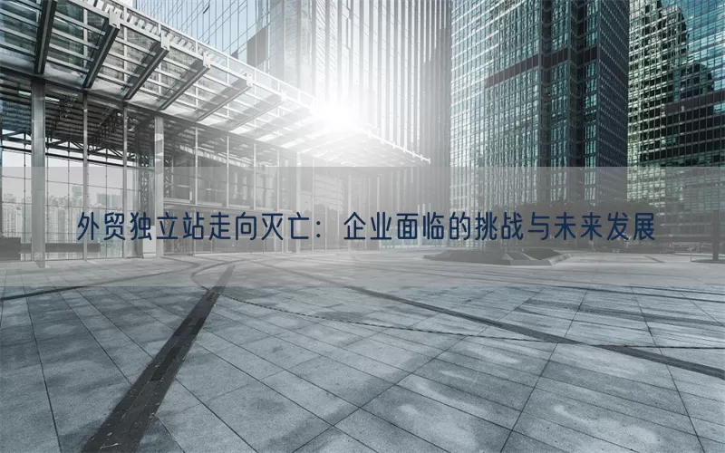外贸独立站走向灭亡：企业面临的挑战与未来发展
