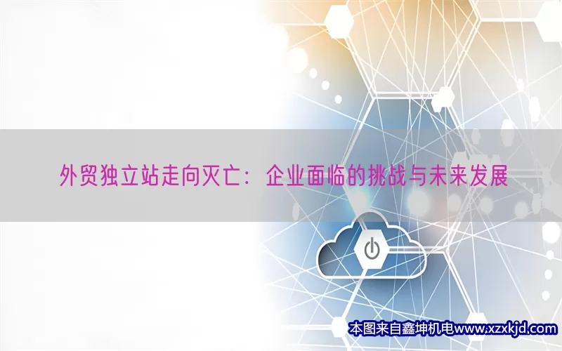 外贸独立站走向灭亡：企业面临的挑战与未来发展(pic1)