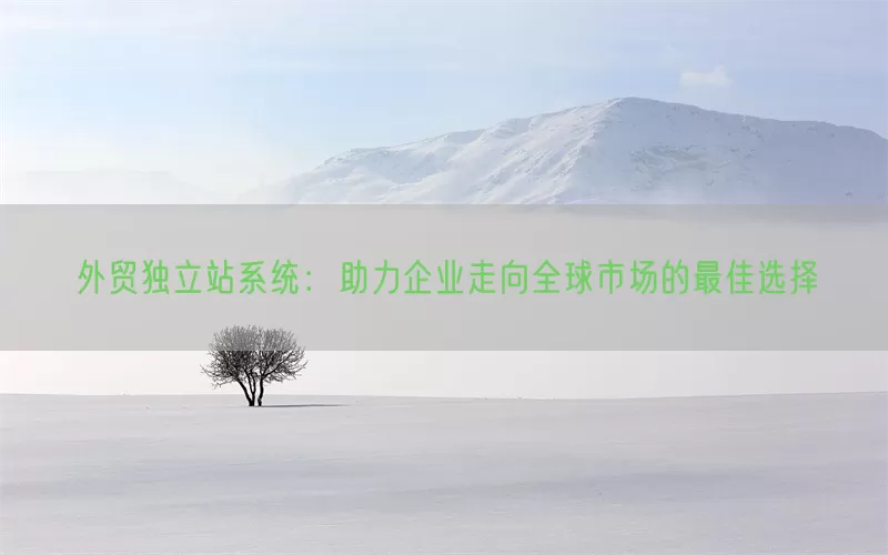 外贸独立站系统：助力企业走向全球市场的最佳选择