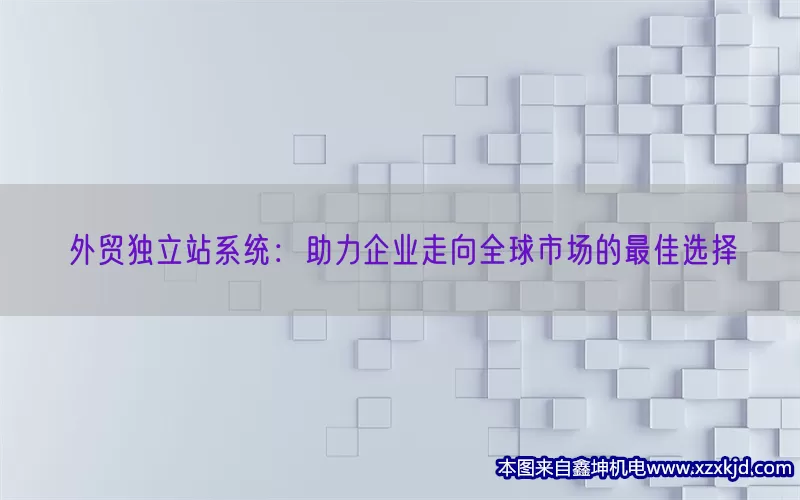 外贸独立站系统：助力企业走向全球市场的最佳选择(pic1)