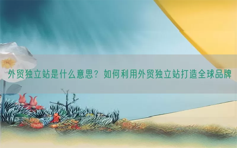 外贸独立站是什么意思？如何利用外贸独立站打造全球品牌