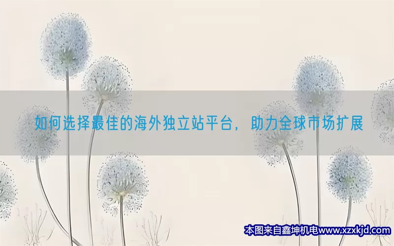 如何选择最佳的海外独立站平台，助力全球市场扩展(pic1)