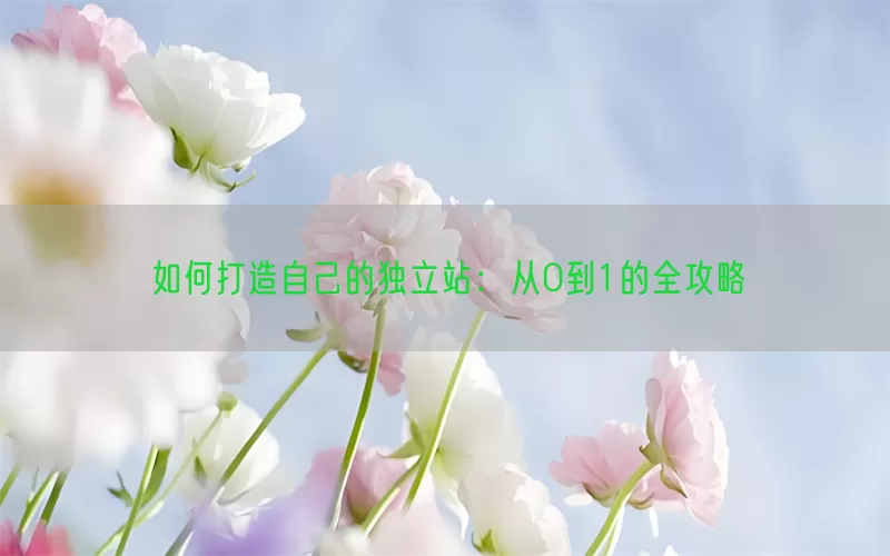 如何打造自己的独立站：从0到1的全攻略