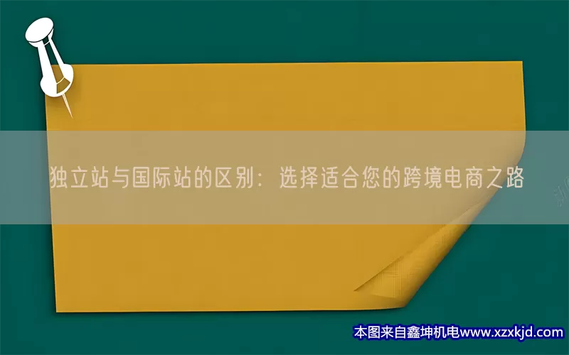 独立站与国际站的区别：选择适合您的跨境电商之路(pic1)
