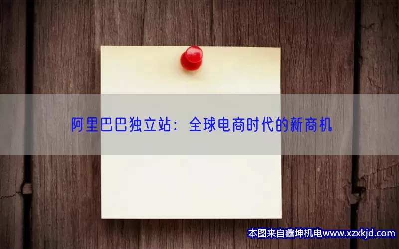 阿里巴巴独立站：全球电商时代的新商机(pic1)