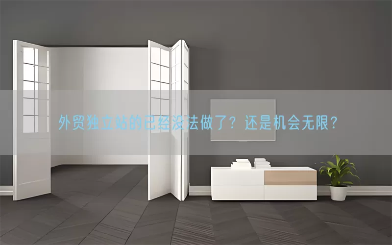 外贸独立站的已经没法做了？还是机会无限？