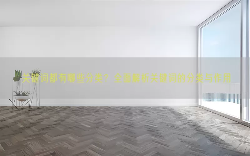 关键词都有哪些分类？全面解析关键词的分类与作用